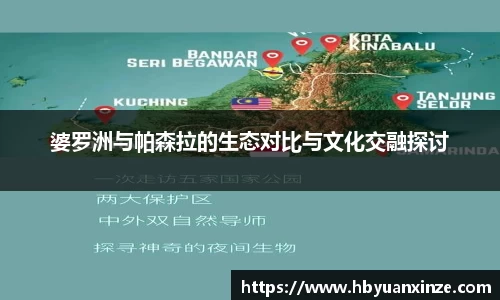 婆罗洲与帕森拉的生态对比与文化交融探讨