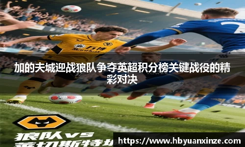 加的夫城迎战狼队争夺英超积分榜关键战役的精彩对决